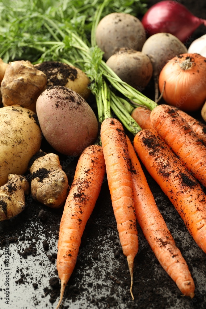 Different root vegetables and soil on grey table, closeup Different root vegetables and soil on grey table, closeup