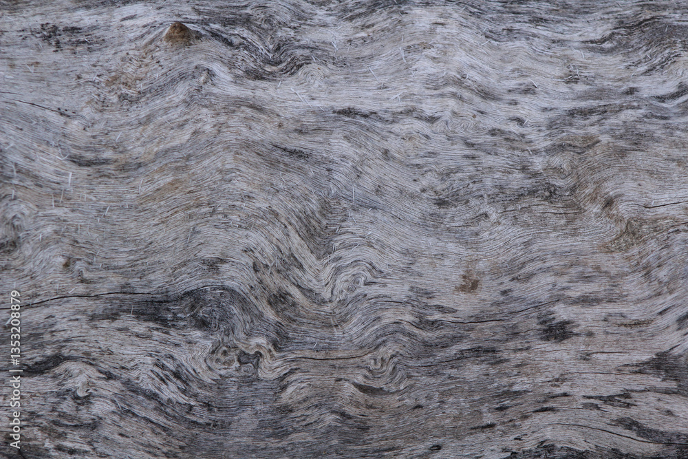 Obraz premium texture of old wood with cracks