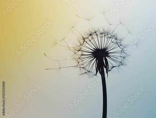 Wallpaper Mural Delicate dandelion seed head silhouette against a soft gradient sky at sunset, highlighting nature’s beauty, fragility, and tranquility in a minimalist and dreamy composition
 Torontodigital.ca