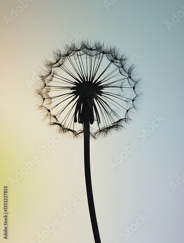 Wallpaper Mural Delicate dandelion seed head silhouette against a soft gradient sky at sunset, highlighting nature’s beauty, fragility, and tranquility in a minimalist and dreamy composition
 Torontodigital.ca