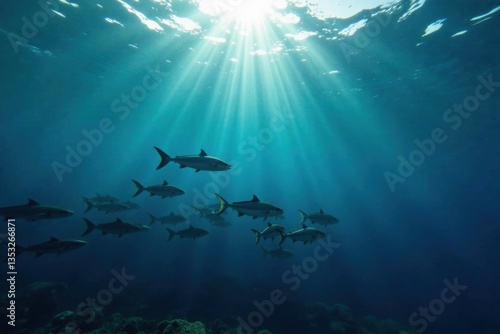 Wallpaper Mural School of fish swimming beneath a vast expanse of dark blue ocean surface, sunlight filtering down from above, school of fish, aquatic life, ocean surface Torontodigital.ca