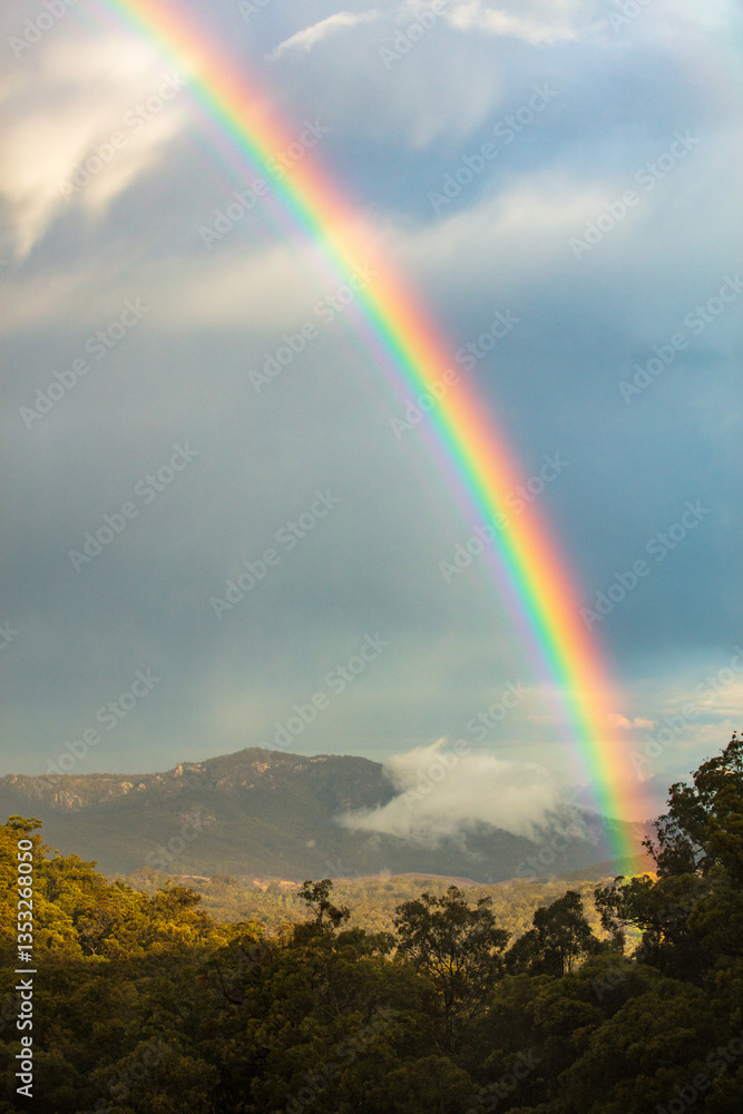 The colourful end part of a rainbow reaching down to the ground amongst eucalyptus forest The colourful end part of a rainbow reaching down to the ground amongst eucalyptus forest