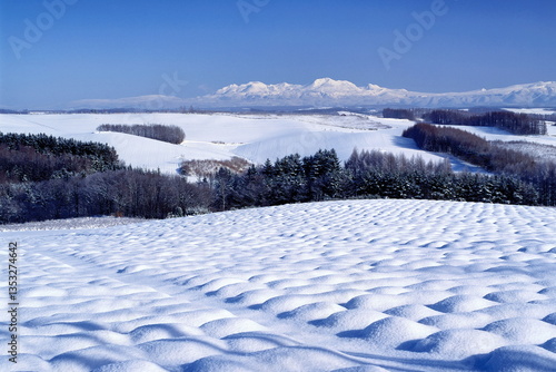 雪原の丘と旭岳（上富良野町）
