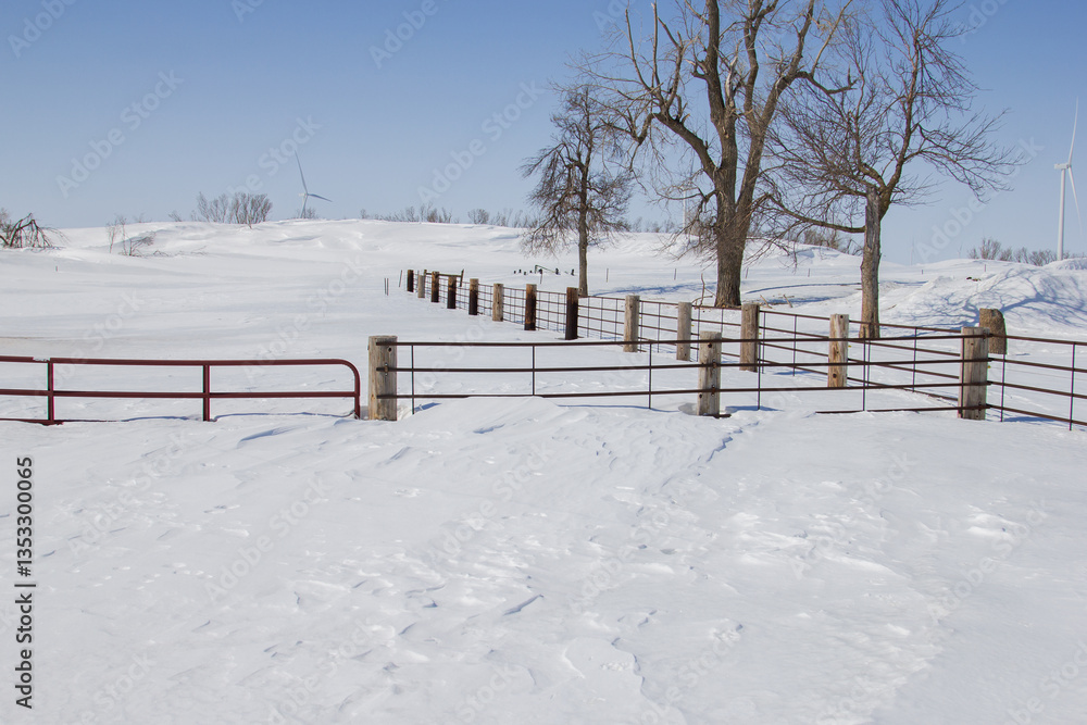 snow covered fence