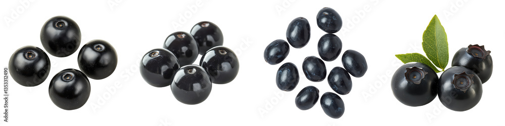 Assorted dark purple berries in clusters show varied shapes and textures, some accompanied by leaves Assorted dark purple berries in clusters show varied shapes and textures, some accompanied by leaves