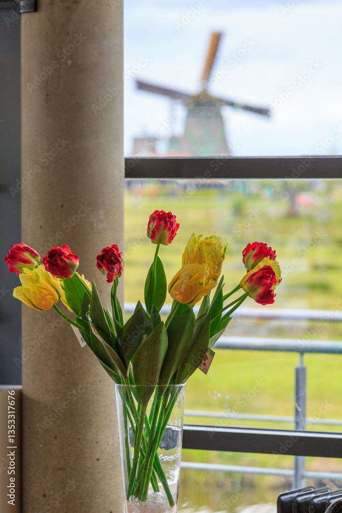 Europe, Netherlands, Flevoland. Dutch tulips. Windmill in background.