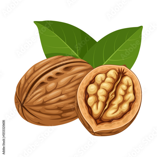 Vector illustration, walnut in shell, suitable as label or template, agricultural product packing.