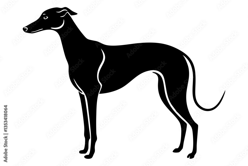 GreyHound silhouette vector illustration GreyHound silhouette vector illustration