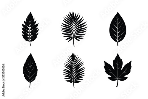 many kinds of leaves silhouette vector illustration