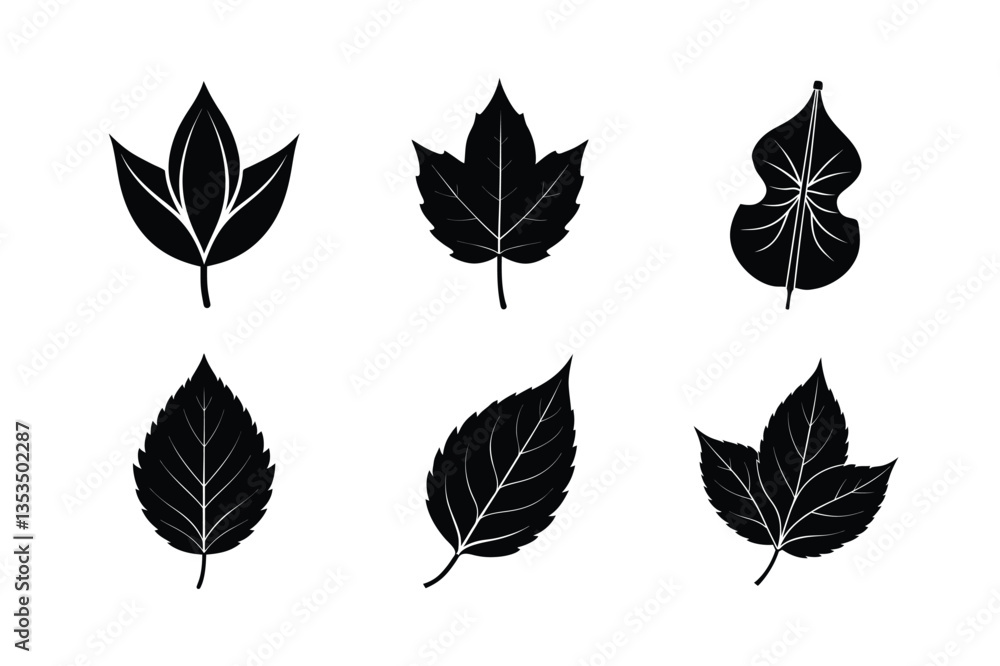 Fototapeta premium many kinds of leaves silhouette vector illustration