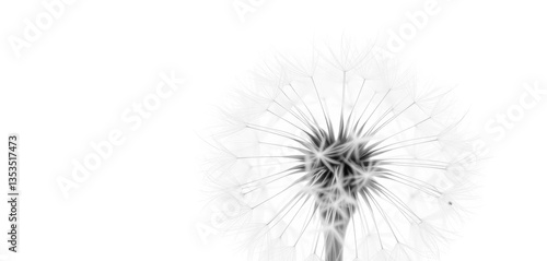 Close-up of dandelion seeds blowing in wind against pure white background, light, white, seedhead