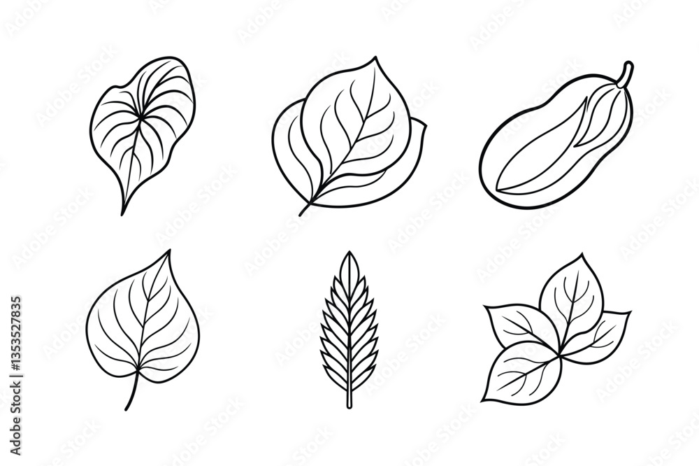 Fototapeta premium many kinds of leaves set line art vector illustrations