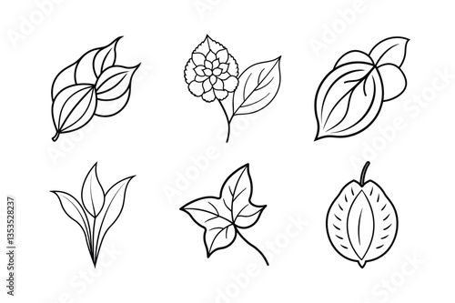 many kinds of leaves set line art vector illustrations