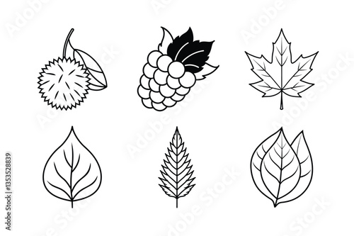 many kinds of leaves set line art vector illustrations