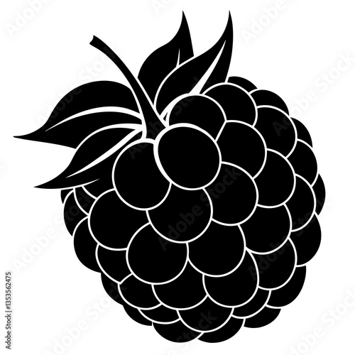 Blackberry silhouette  vector illustration 