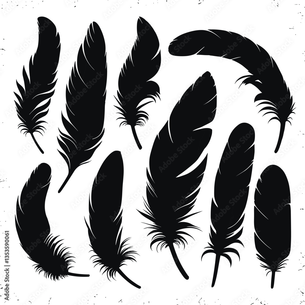 Obraz premium Set of black feathers silhouettes