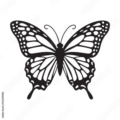 Butterfly vector illustration isolated on white background