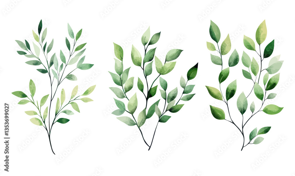 Fototapeta premium Elegant Watercolor Green Leaf Twigs Vector on Transparent Background for Design