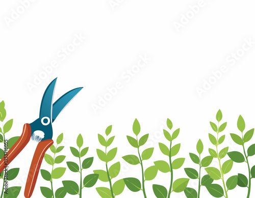 Pruning plant with pruning shears on white background, copy space, home garden theme