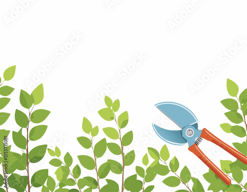 Pruning plant with pruning shears on white background, copy space, home garden theme