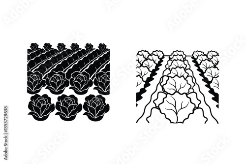 Cabbage Farm Illustration Two Styles, Black and White, Agriculture, Rows, Planting, Vegetables, Farm