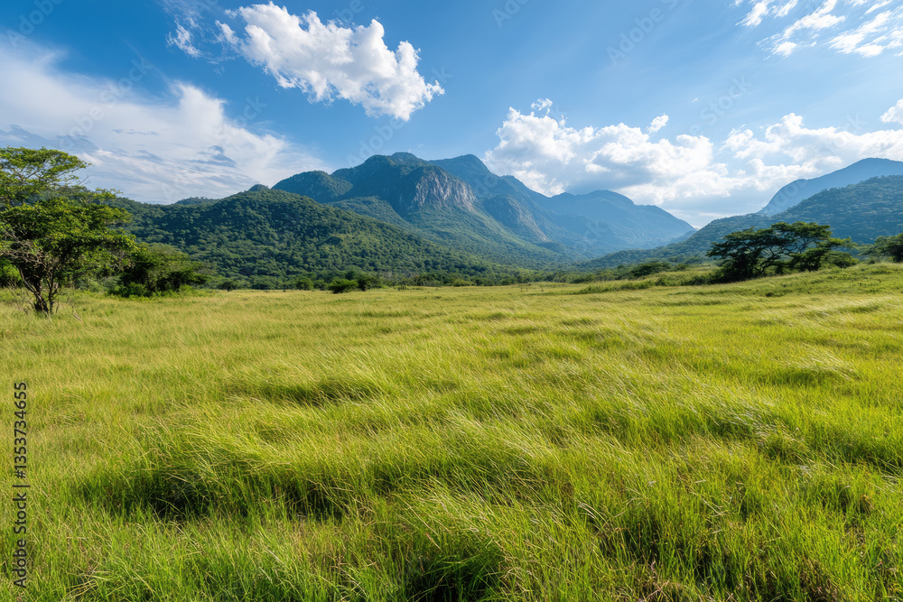Lush green meadow with mountains under bright blue sky Lush green meadow with mountains under bright blue sky