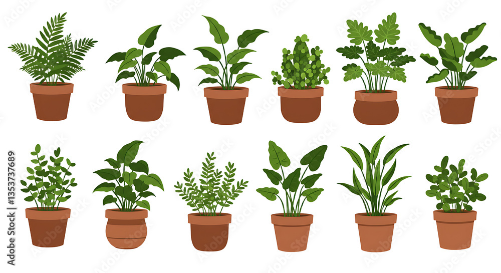 Various potted houseplants illustration on white background for home decor Various potted houseplants illustration on white background for home decor