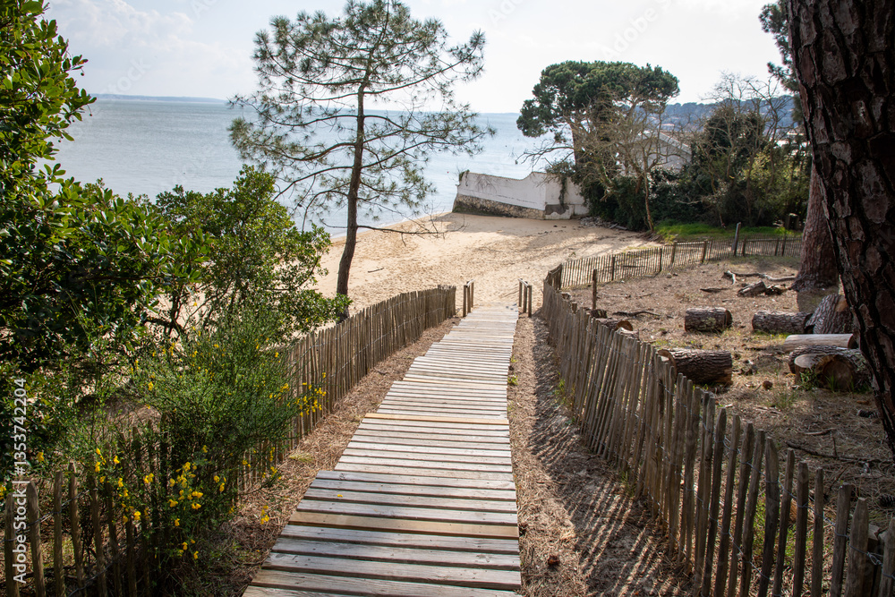 Fototapeta premium wooden step pathway access in arcachon beach in west coast in lege cap-ferret sea in France
