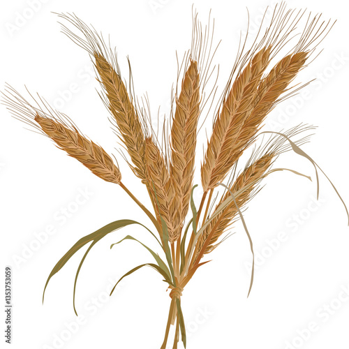 gold cereal plants bunch isolated on white background