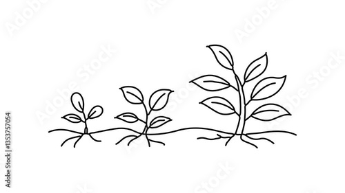 Small tree sprout Continuous line draw Full length single line animation