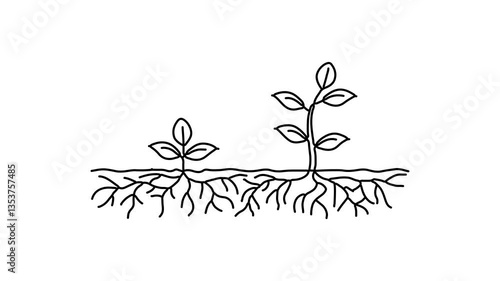Two Sprout nature small tree Continuous line draw Full length single line animation.