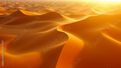 Desert Glow- Golden Hour Over the Sands
