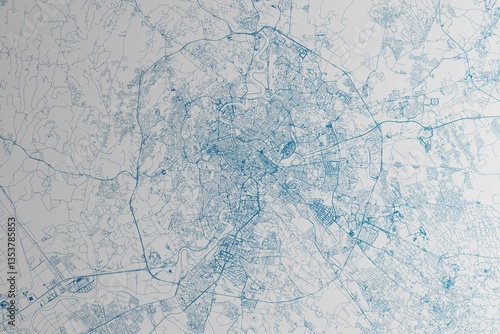 Canvas Print Map of the streets of Rome (Italy) made with blue lines on white paper