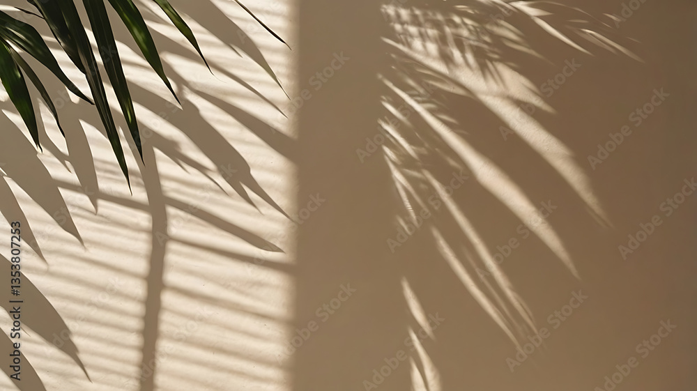 Obraz premium Contemporary Interior Design with Plant Shadows and Textured Wall for a Calm, Serene, and Captivating Living Space
