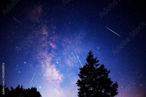 Obraz na płótnie Milky way stars, meteor trails and landscape silhouettes. w salonie