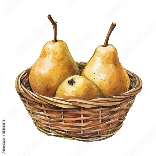 Nashi Pear Basket, watercolor illustration, isolated on a white background.