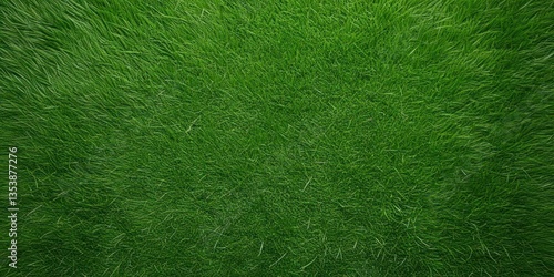 A detailed top-down shot of a healthy and well-manicured green grass surface