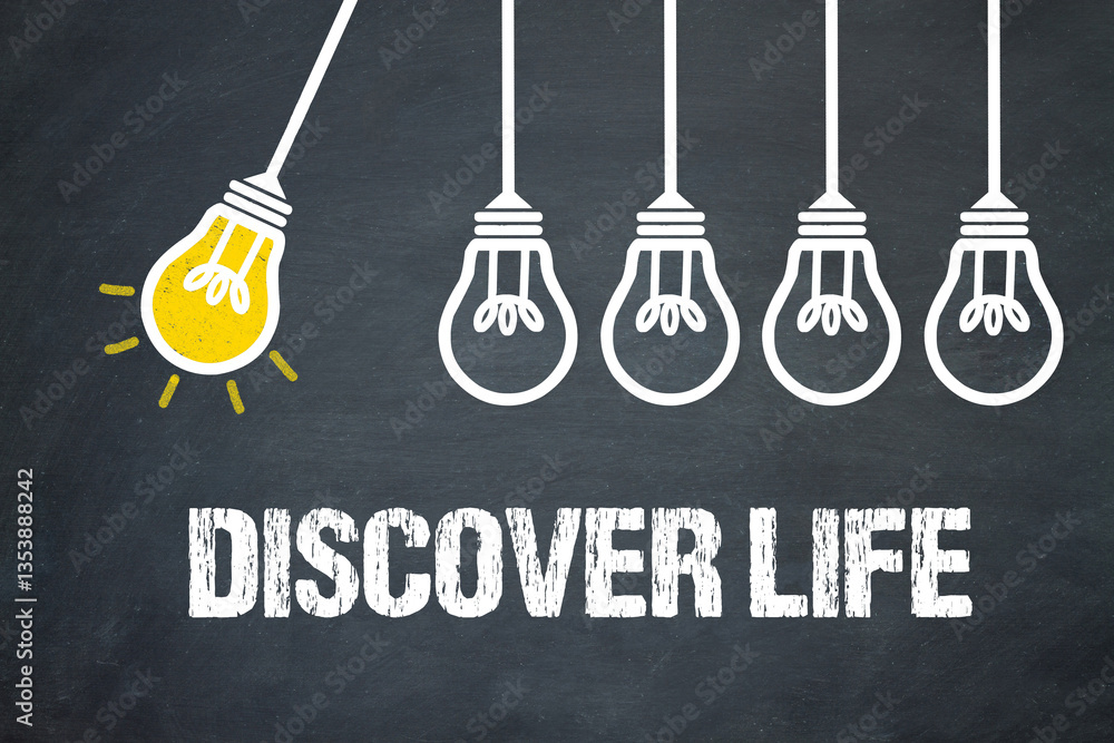Fototapeta premium Discover Life