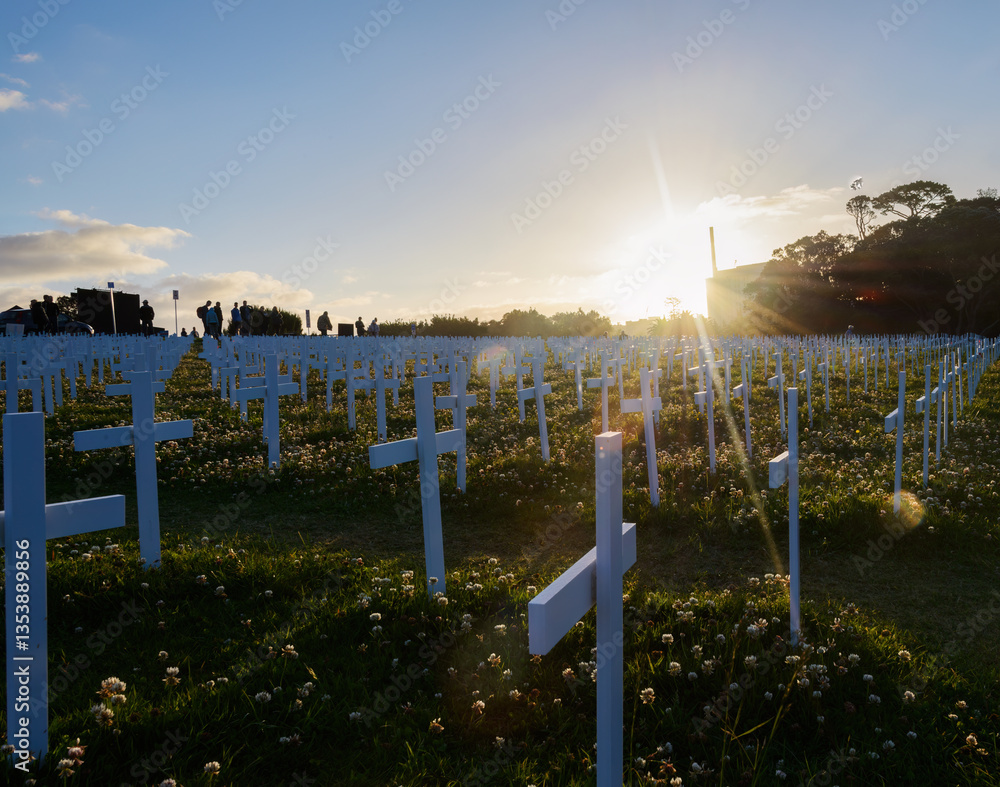 White crosses on Armistice Day commemoration. Unrecognizable people paying tribute. Auckland. New Zealand.