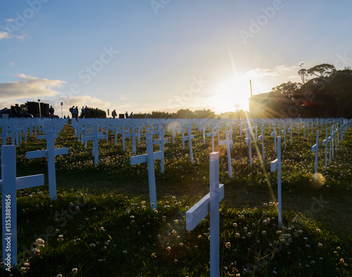 Obraz na płótnie White crosses on Armistice Day commemoration. Unrecognizable people paying tribute. Auckland. New Zealand. w salonie