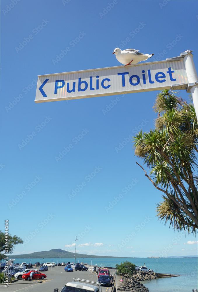 A seagull standing on top of Public Toilet sign post. Rangitoto Island in the distance. Takapuna beach. Auckland. Vertical format.