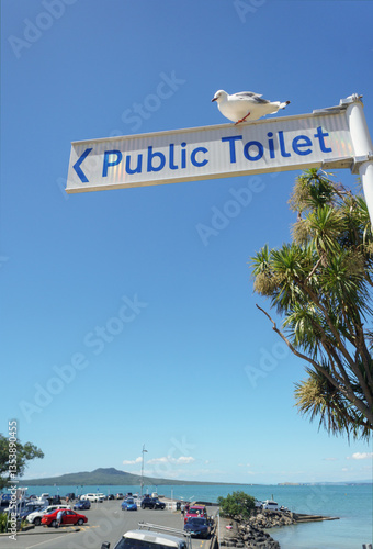 Obraz na płótnie A seagull standing on top of Public Toilet sign post. Rangitoto Island in the distance. Takapuna beach. Auckland. Vertical format. w salonie