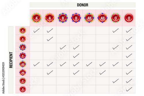 ABO blood groups. ABO Blood Compatibility Chart. Blood types, A,B, AB and O groups. Combinations of the type A and type B antigens.