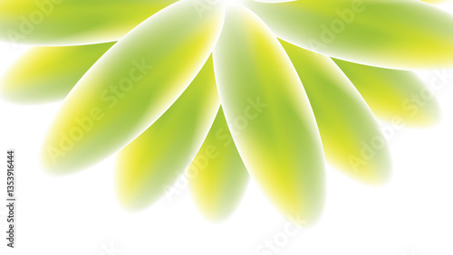 abstract green background flowers color floral daisy blossom spring nature flower eps 10