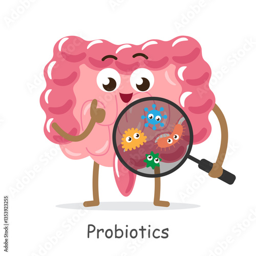 Probiotics . Intestine cartoon character hold magnifying glass to see microflora bacteria . Isolated white background . Vector .
