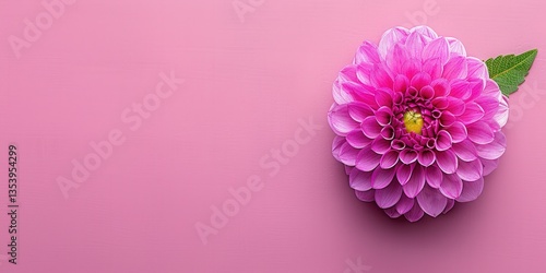 Pink flower with a yellow center. A green leaf is visible. Soft pink background