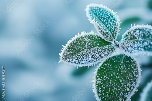 Wallpaper Mural Close-Up Of Dew-Covered Green Leaves In Morning Light  Torontodigital.ca