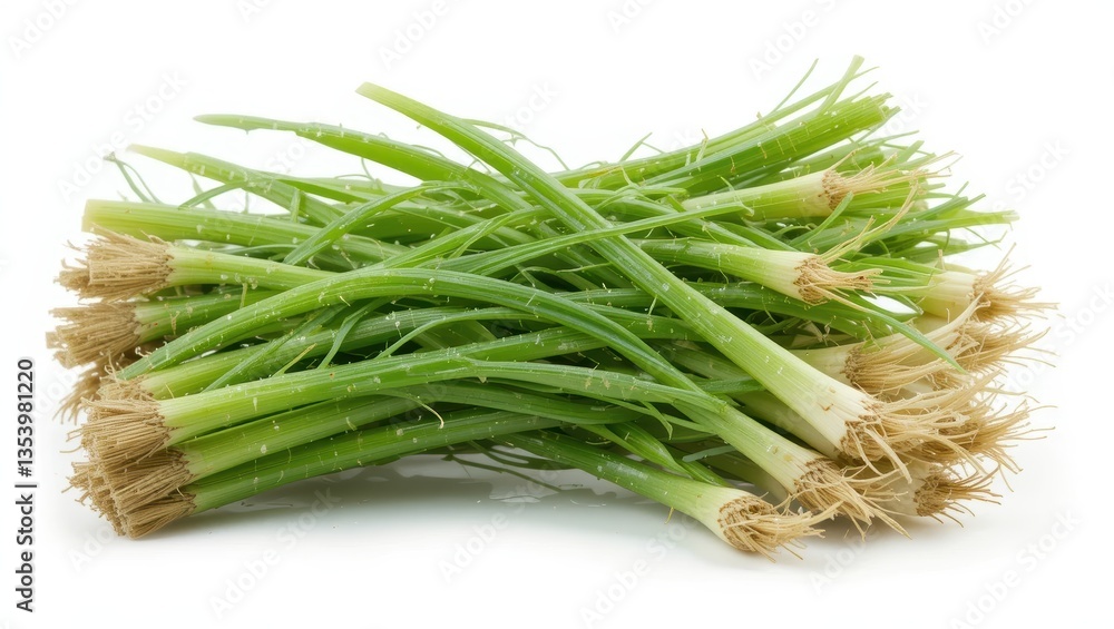 Fresh Green Scallions or Spring Onions Bunched Together on a White Background Fresh Green Scallions or Spring Onions Bunched Together on a White Background