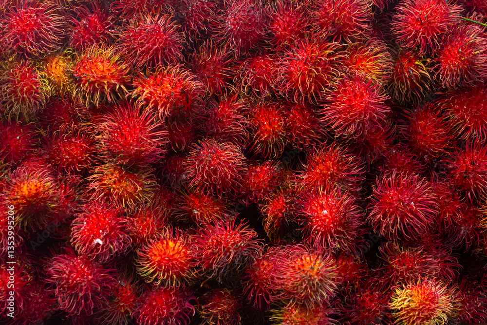Close up of a bunch of rambutan with a lot of detail Close up of a bunch of rambutan with a lot of detail