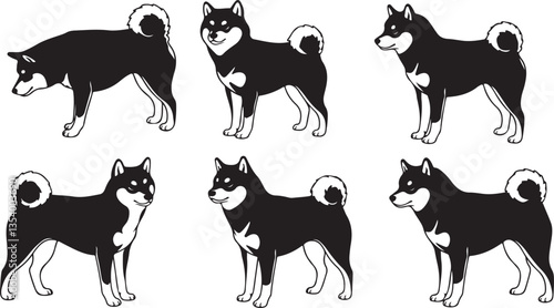 Shiba Inu Silhouette: Japanese Dog Breed, Pet Animal, Canine Outline, Flat Vector Illustration